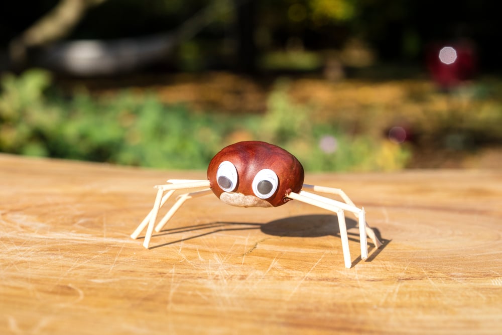 shutterstock_1740480335